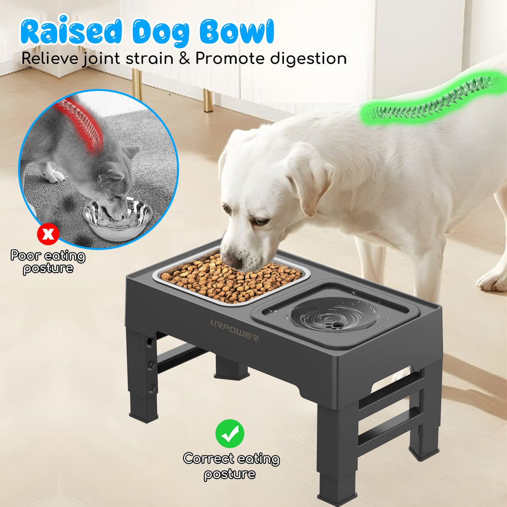 URPOWER stainless steel food bowl is durable and dishwasher-safe.
