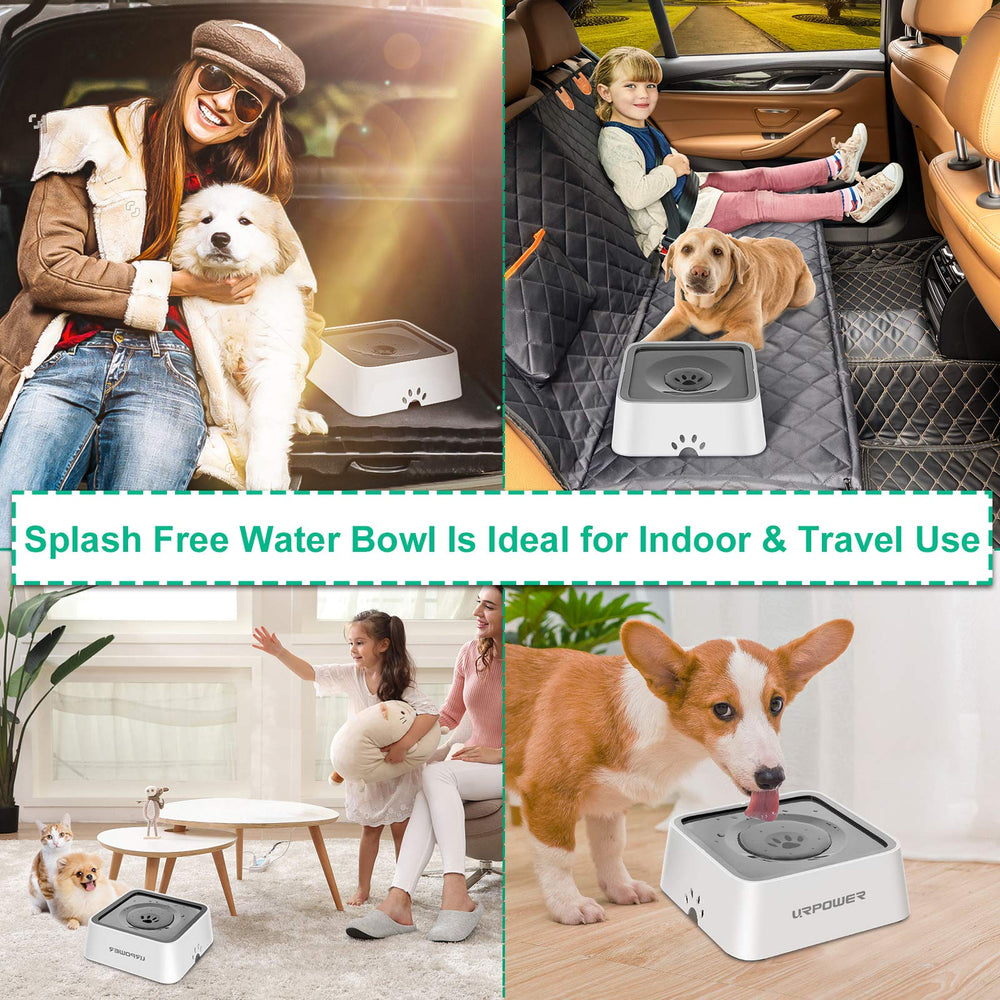URPOWER 2.5L bowl ideal for car trips and travel with pets.