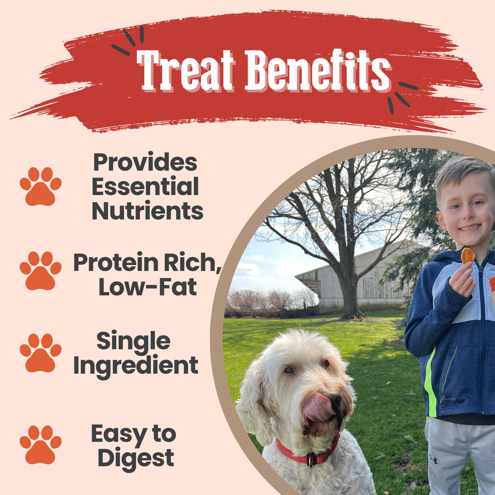 USA-made turkey chips for dogs highlighting domestic production.