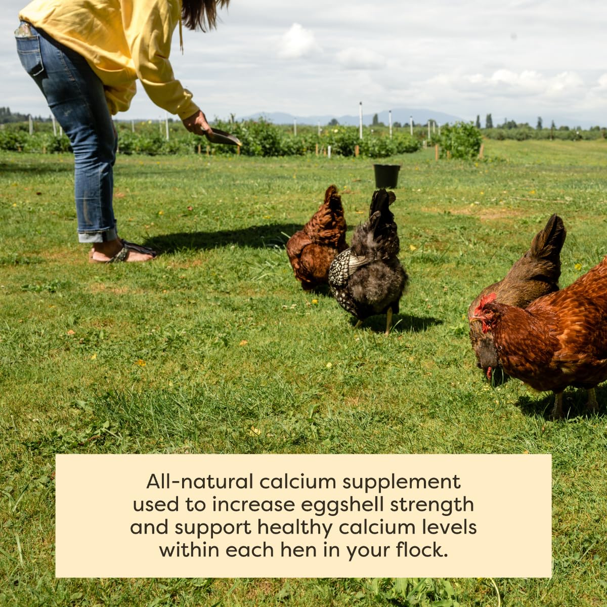 USA-sourced limestone symbolizes safe, sustainable calcium for flocks