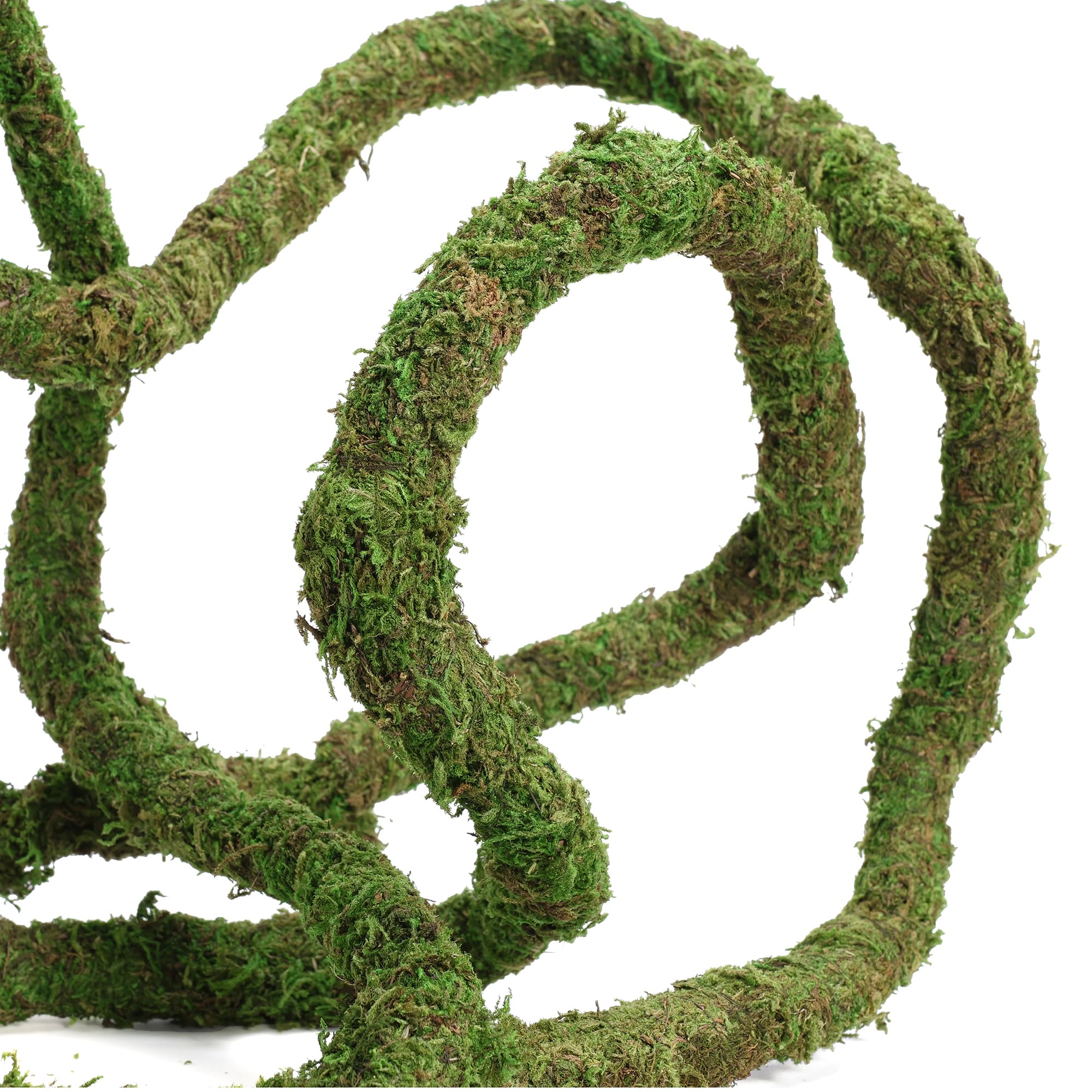 USMOLA Moss Vine green moss texture enhances tank aesthetics