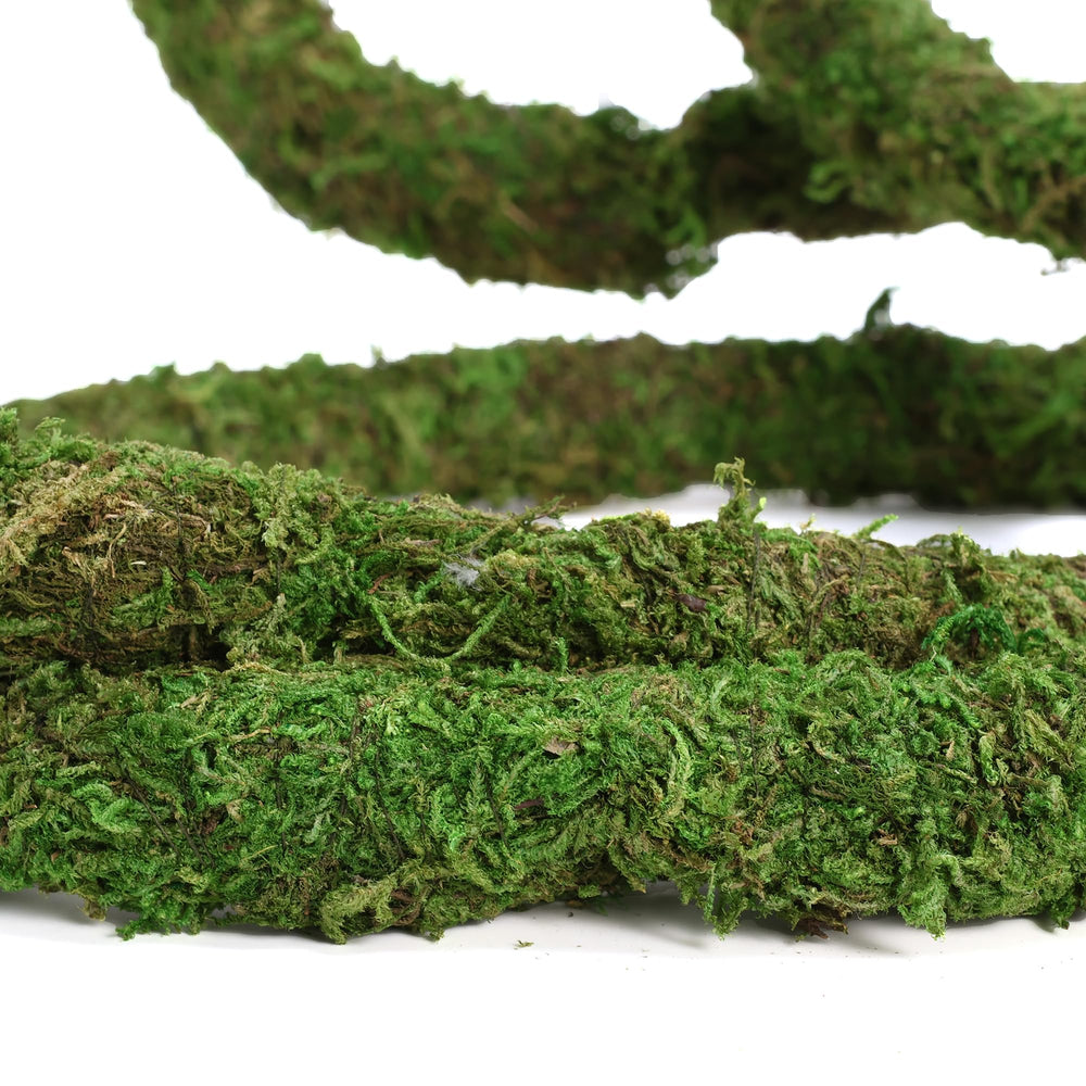 USMOLA Moss Vine made with safe forest moss for pets