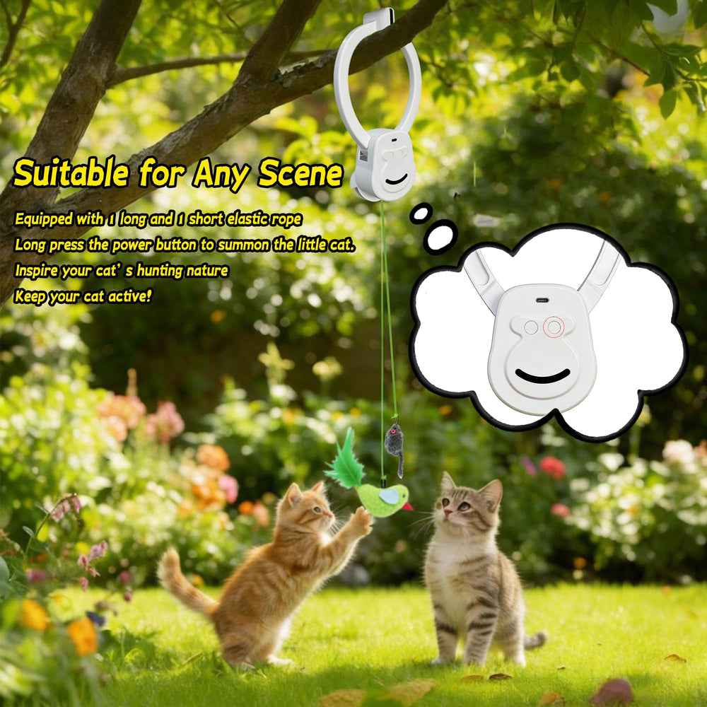 Usydjrn non-toxic materials ensure safe indoor enrichment for cats.