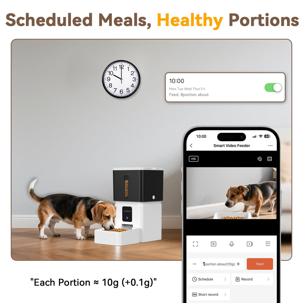 UTCG timer and daily schedule display