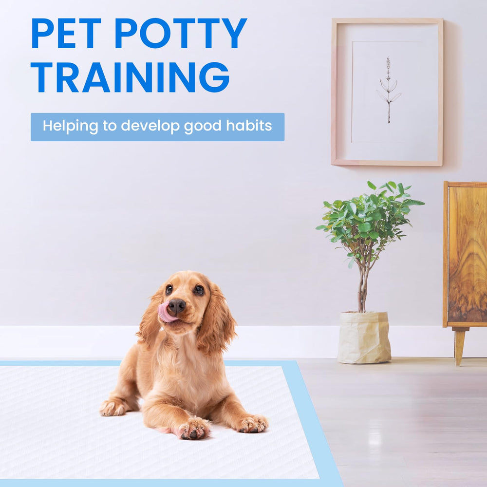 UUMEE car-friendly dog pad for on-the-go trips.