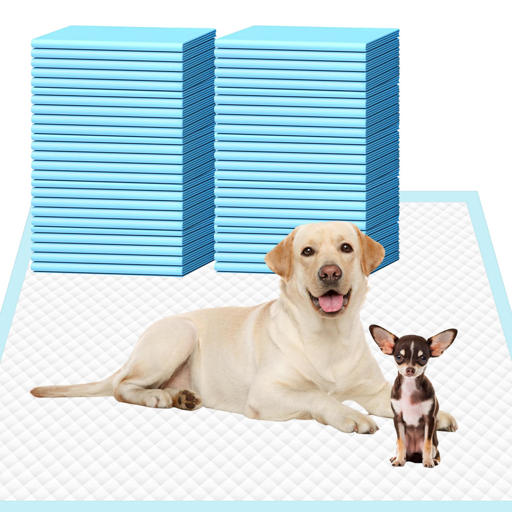 UUMEE dog pee pad 28x30 extra large for training and full-room coverage.