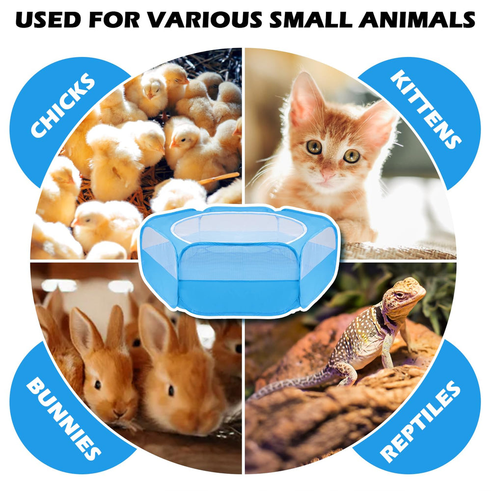 UWE outdoor-ready setup lets pets sunbathe safely and comfortably
