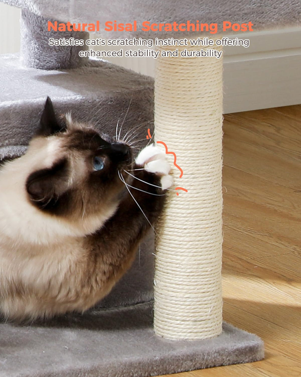 UYMI multi-cat-ready layout reduces sharing conflicts across levels.