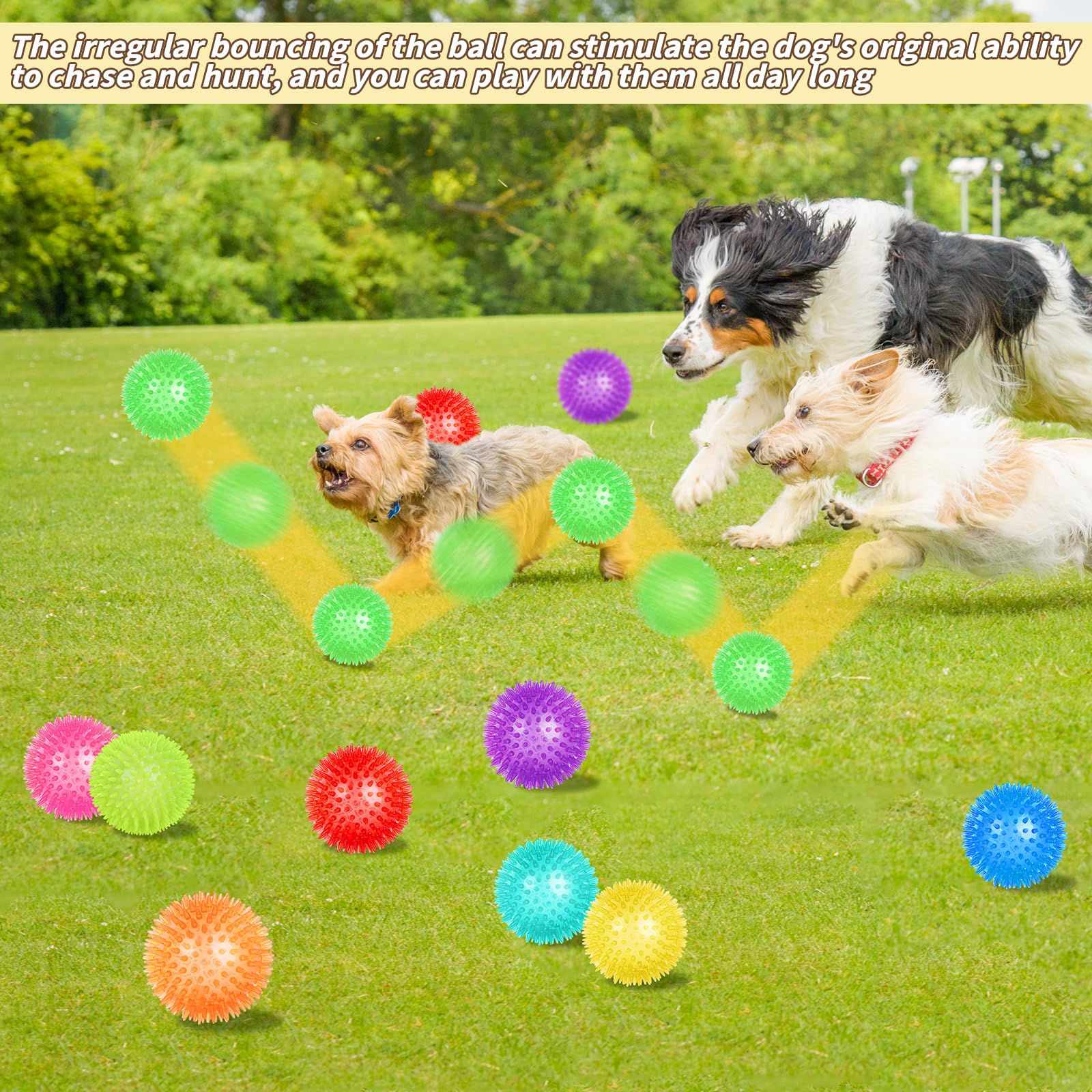 UZLU water safe dog ball for pool and splash play sessions.