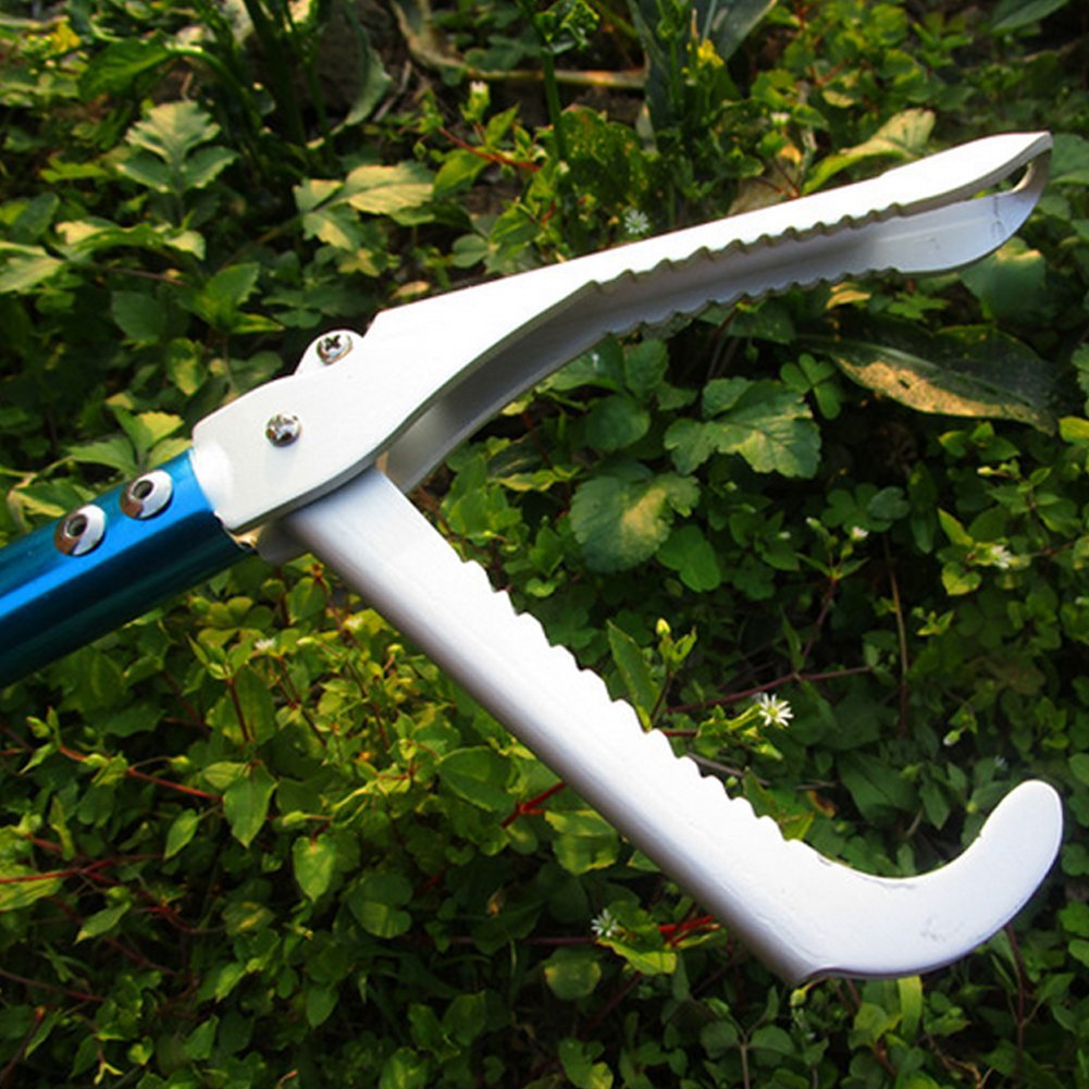 V-CHEETONG reptile rescue tool supports humane handling