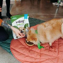 Front of V-dog vegan mini kibble bag showing plant-based formula.