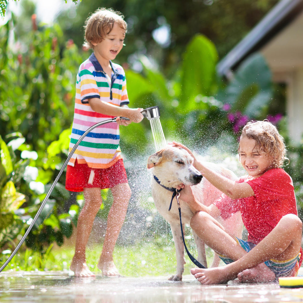 V-Frankness built-in brush aids dirt removal during dog washing