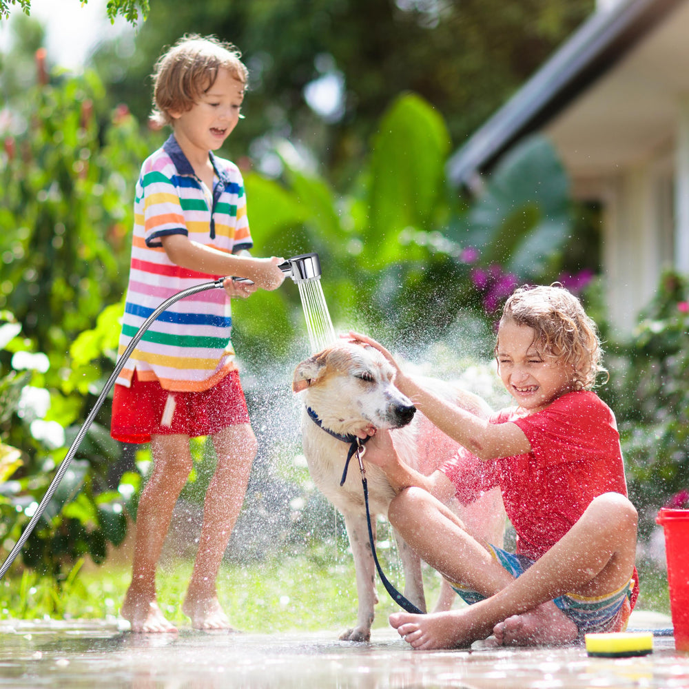 V-Frankness complete accessory set supports easy, stress-free pet baths.