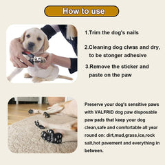 VALFRID paw protector pad on hot pavement improving outdoor safety for dogs