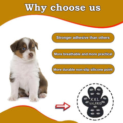 VALFRID ultra-thin paw pad provides breathable comfort during walks