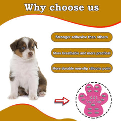 VALFRID traction pads for hardwood floors help dogs move confidently indoors.