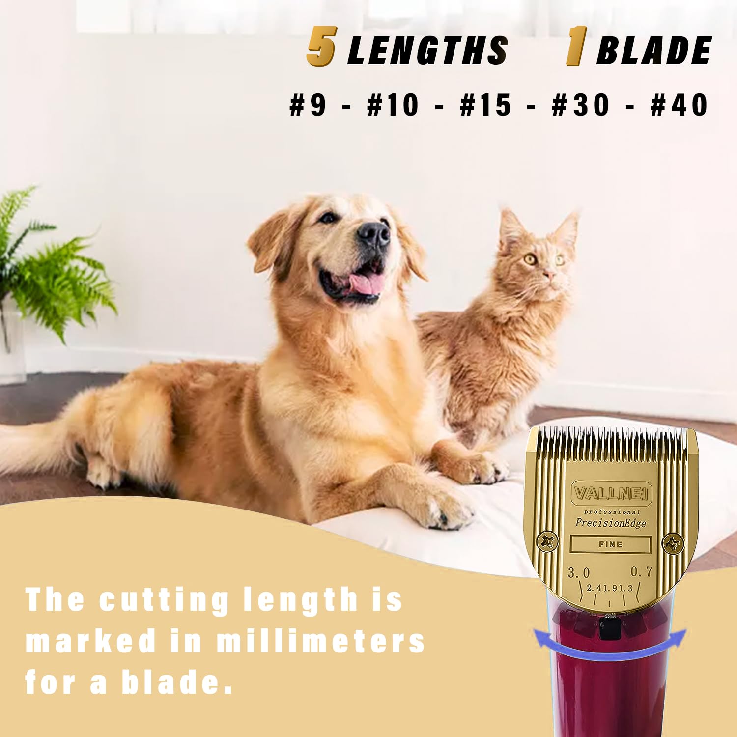 VALLNEI stainless steel blade with precision edges for smooth cuts.