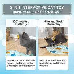 Valonii feather-wand game invites kittens to chase and explore.