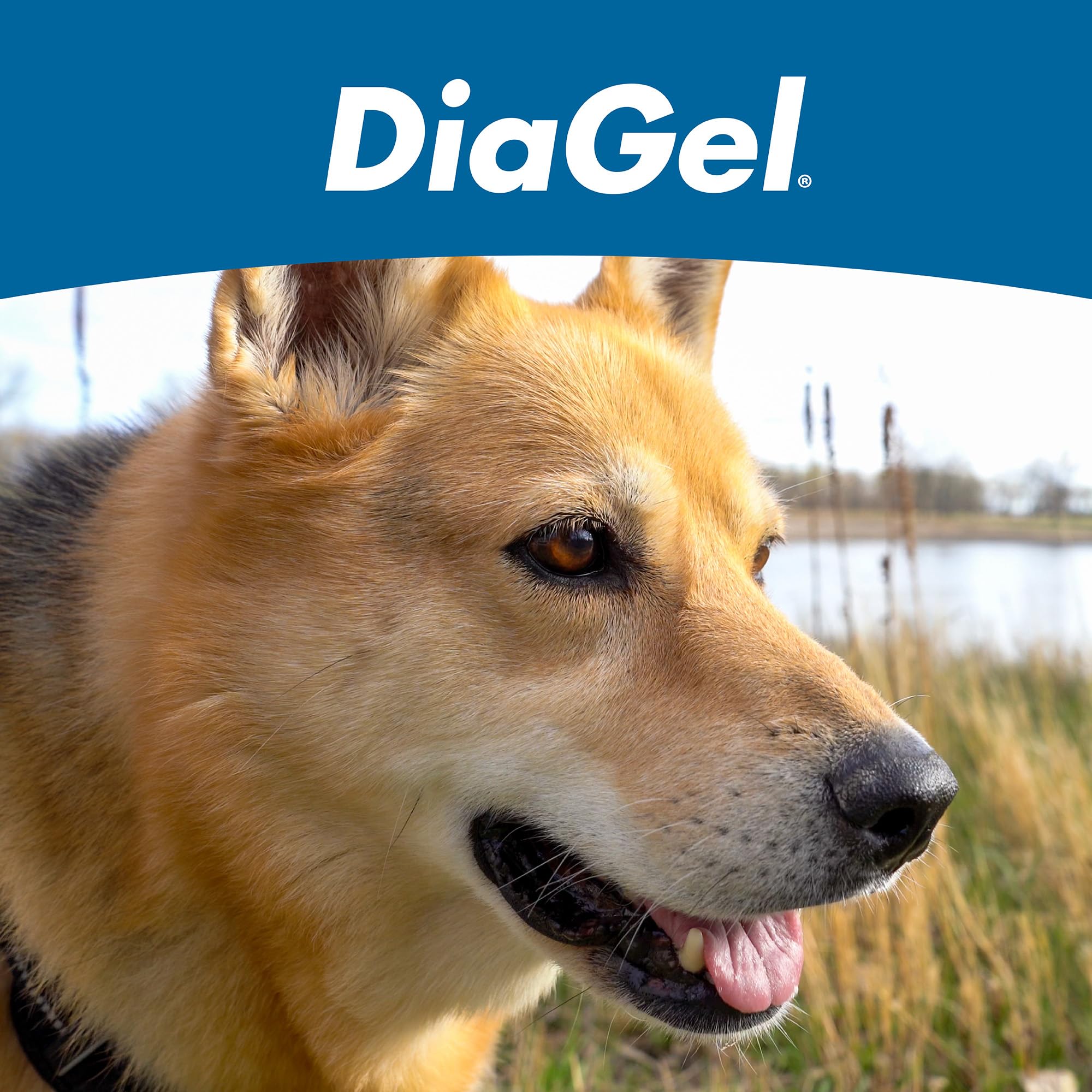 Van Beek Natural Science packaging signals trusted pet nutrition for DiaGel
