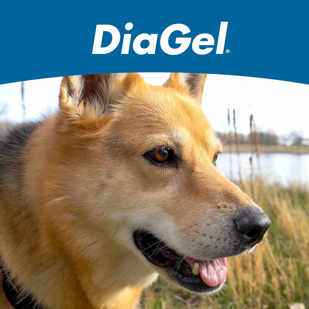 Van Beek Natural Science packaging signals trusted pet nutrition for DiaGel