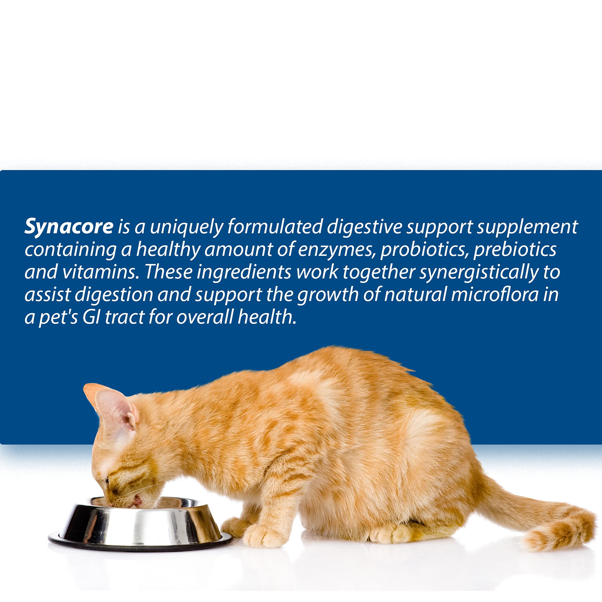 Close-up of the label highlighting probiotic strains and enzymes for cats