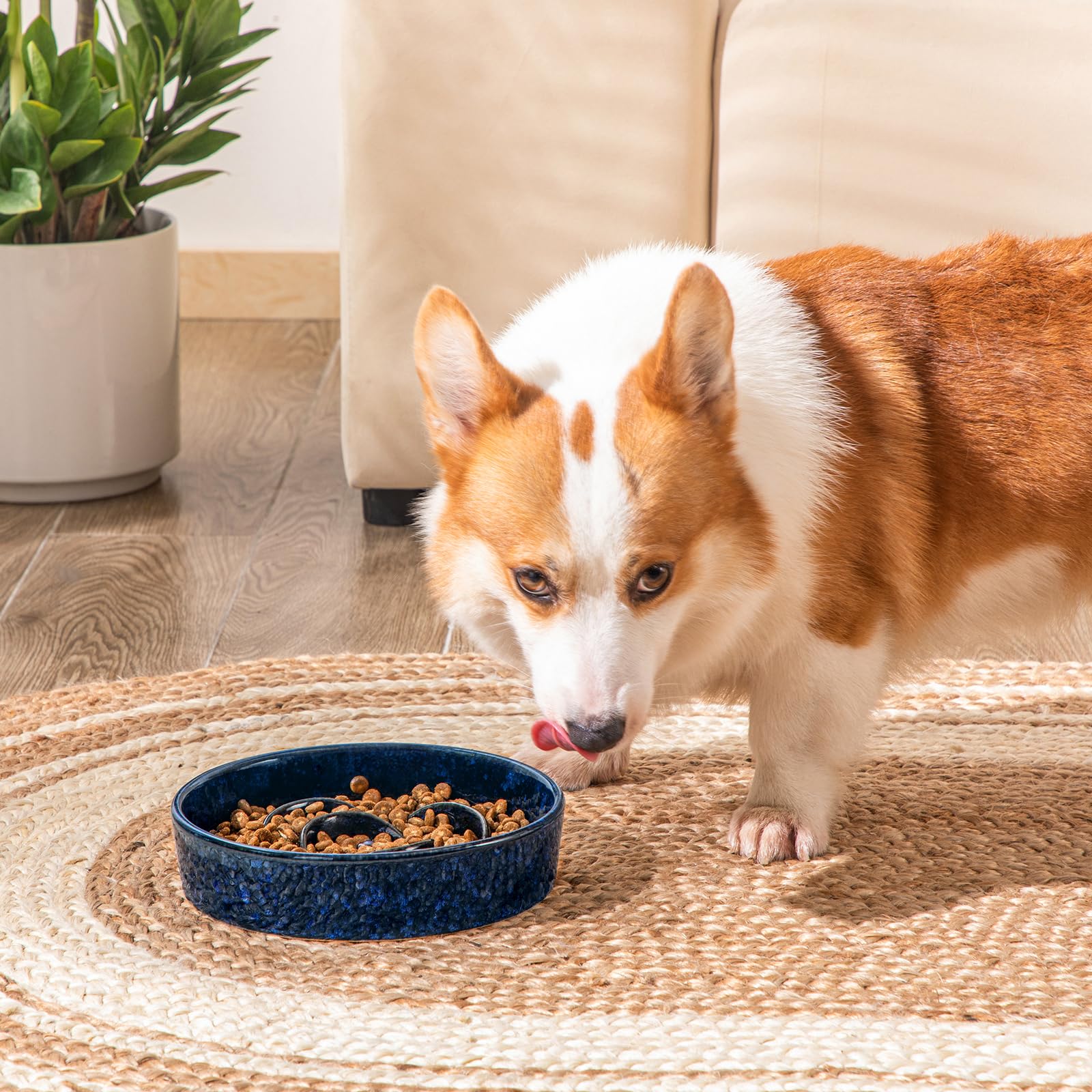 Vancasso 15x slower eating design promotes calmer mealtimes.