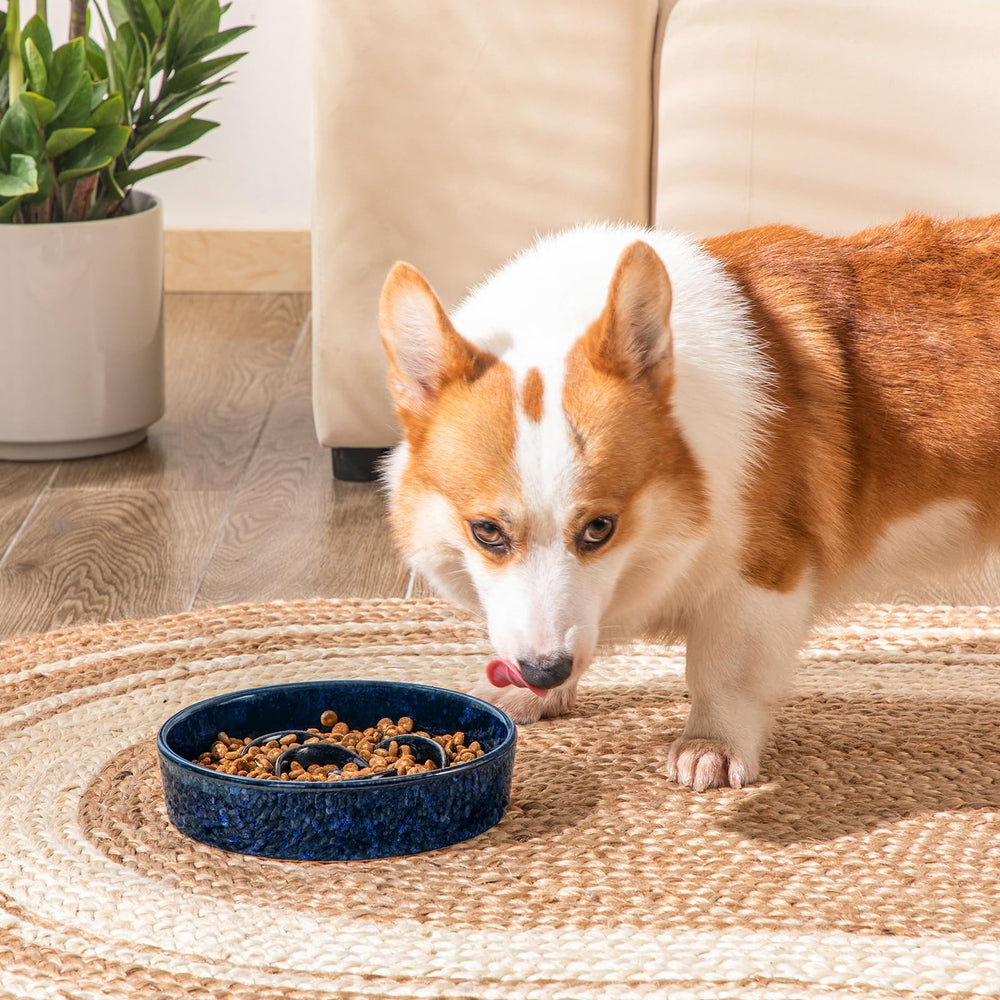 Vancasso 15x slower eating design promotes calmer mealtimes.