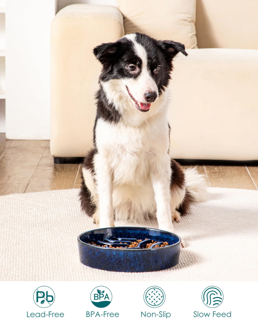 Vancasso 3-cup capacity bowl ideal for large breeds