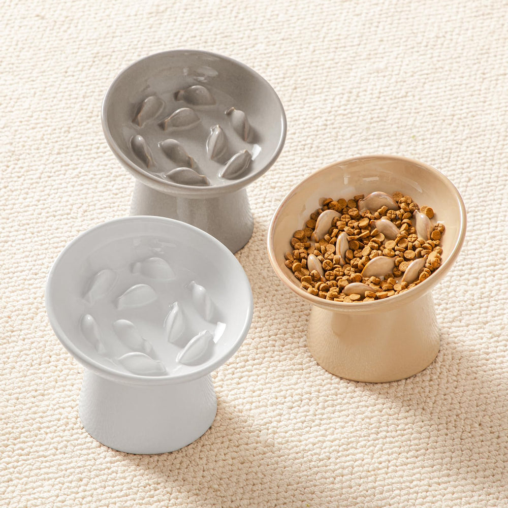 Vancasso dedicated after-sales support offers reliable help for pet feeding