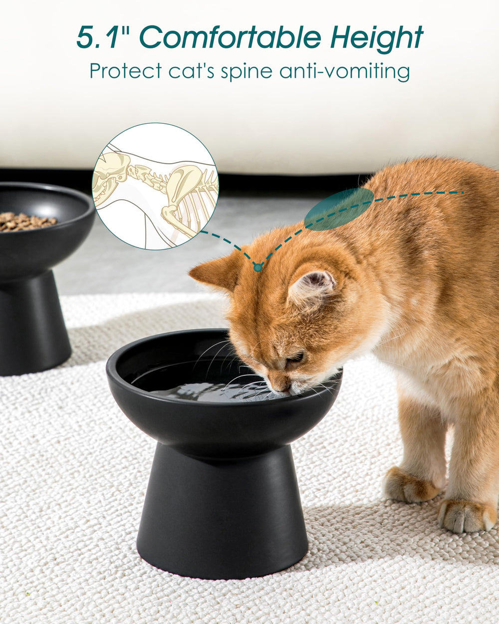 Vancasso anti-whisker fatigue design reduces whisker contact.