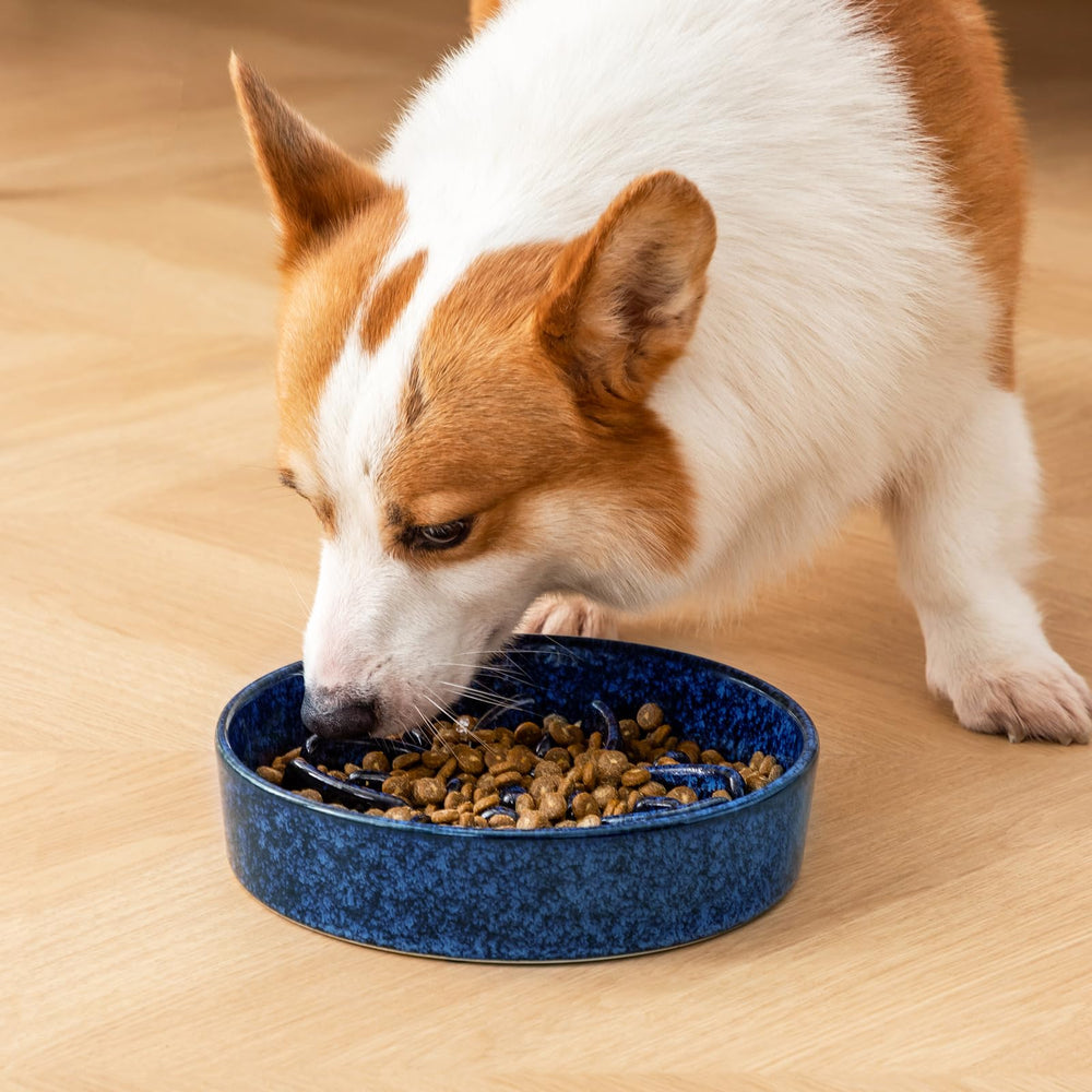 Vancasso behavior-friendly mealtime blue bowl promotes calm eating.