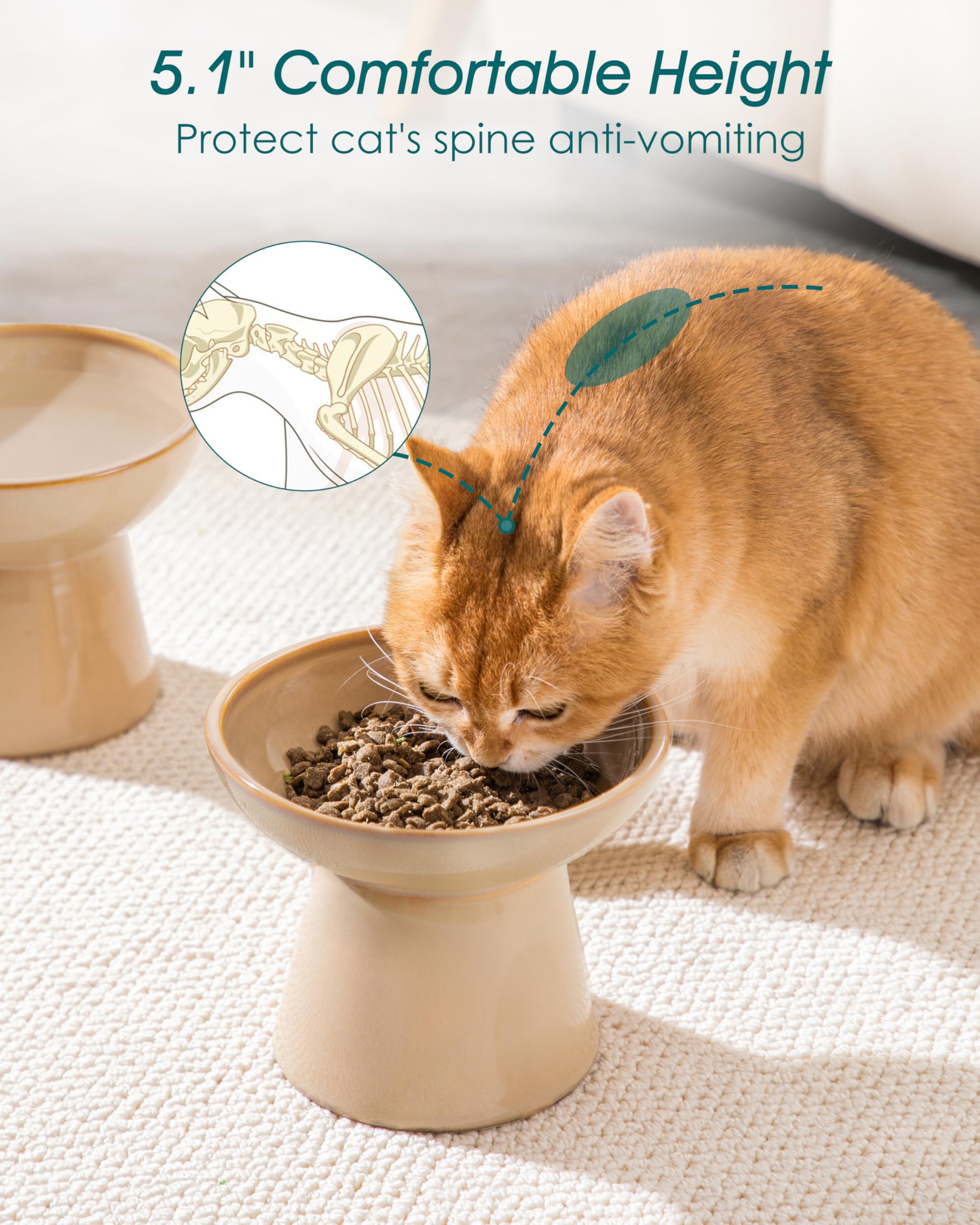 Vancasso whisker-fatigue-relief bowl prevents whisker contact for relaxed eating.
