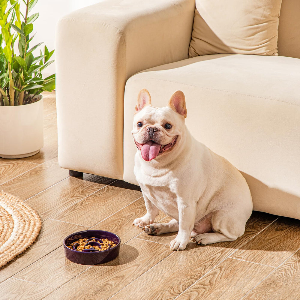 Vancasso ceramic-dog-bowl durability offers a long-lasting chew-safe option
