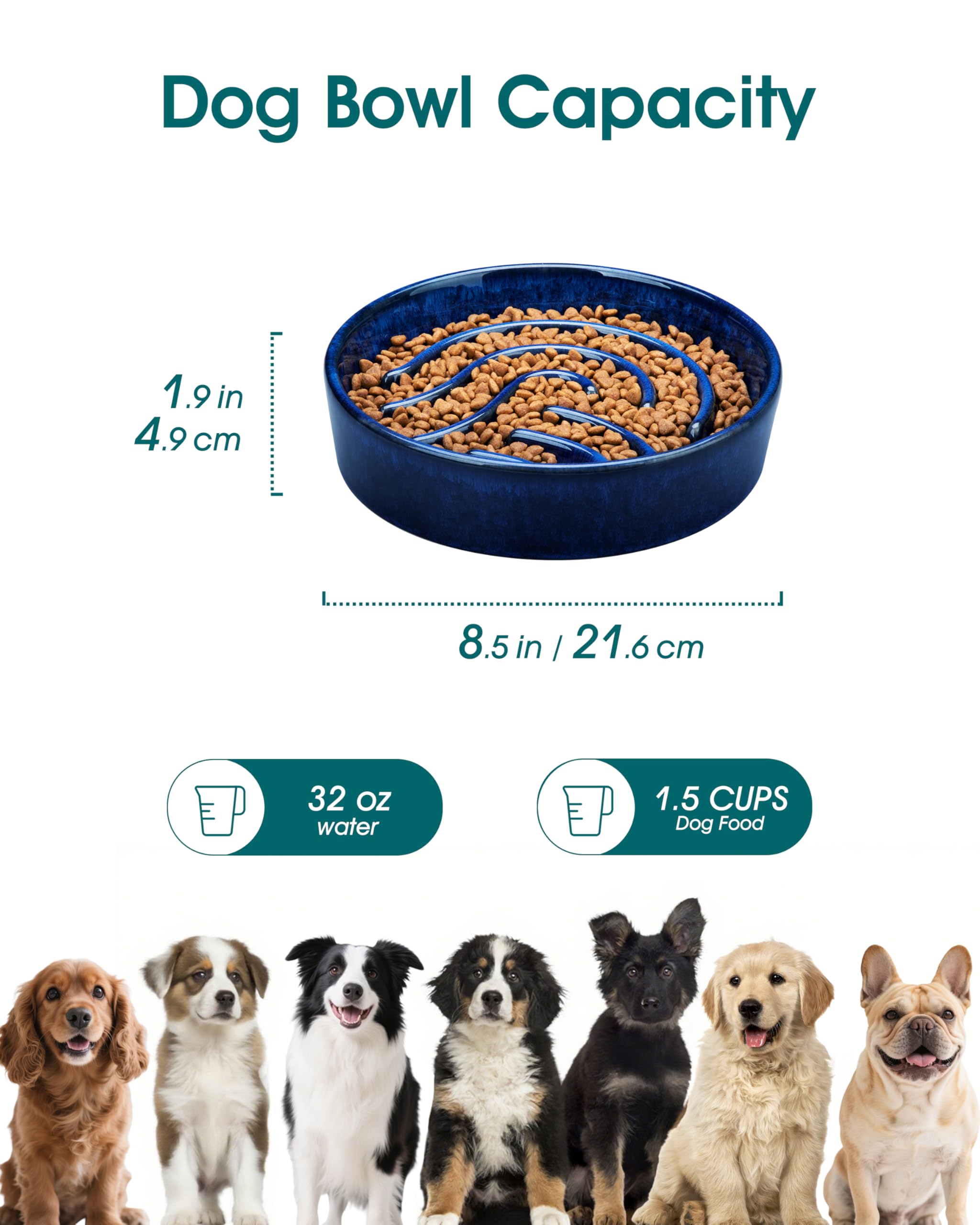 Vancasso ceramic-slow-feeder-bowl with glossy glaze for easy cleaning.