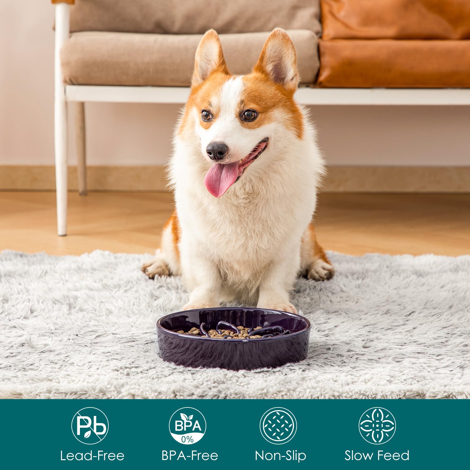 Designed for medium breeds like Beagle and Cocker Spaniel