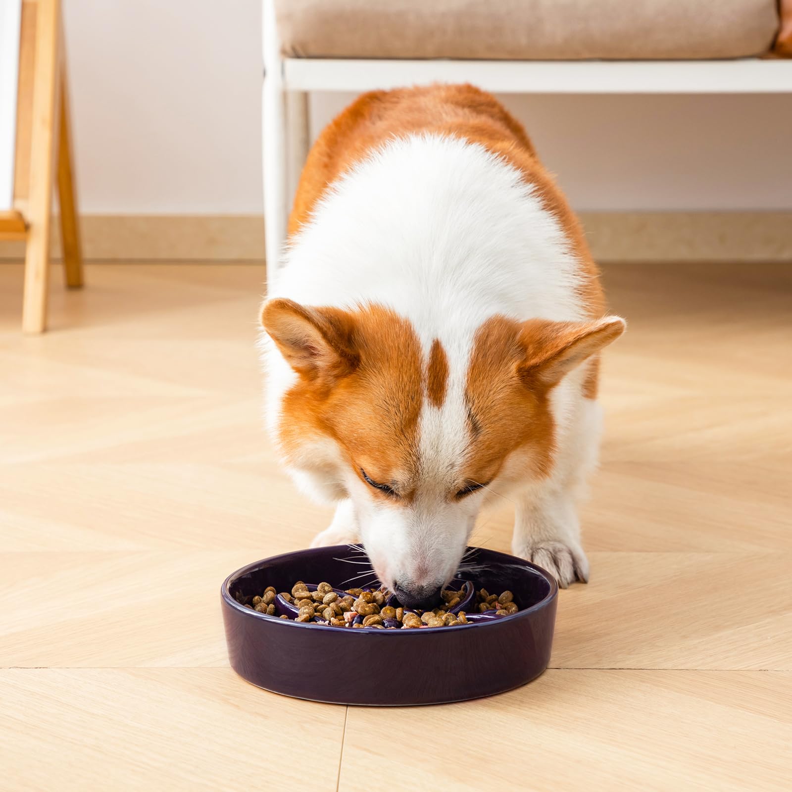 Dishwasher-safe ceramic ensures quick cleanup after meals