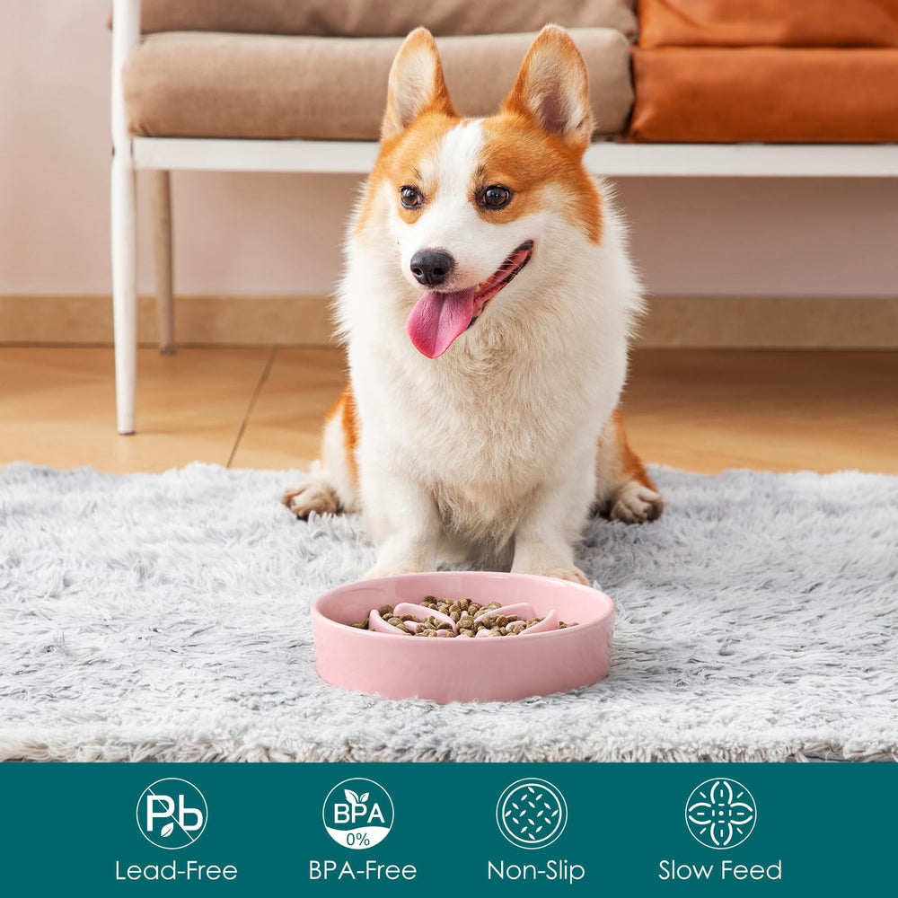 Vancasso glazed ceramic slow feeder resists odors for easy cleaning.