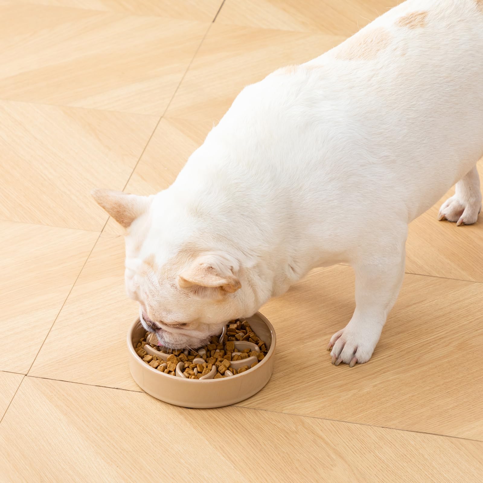 Vancasso dishwasher-safe pet bowl for quick, hygienic cleaning.