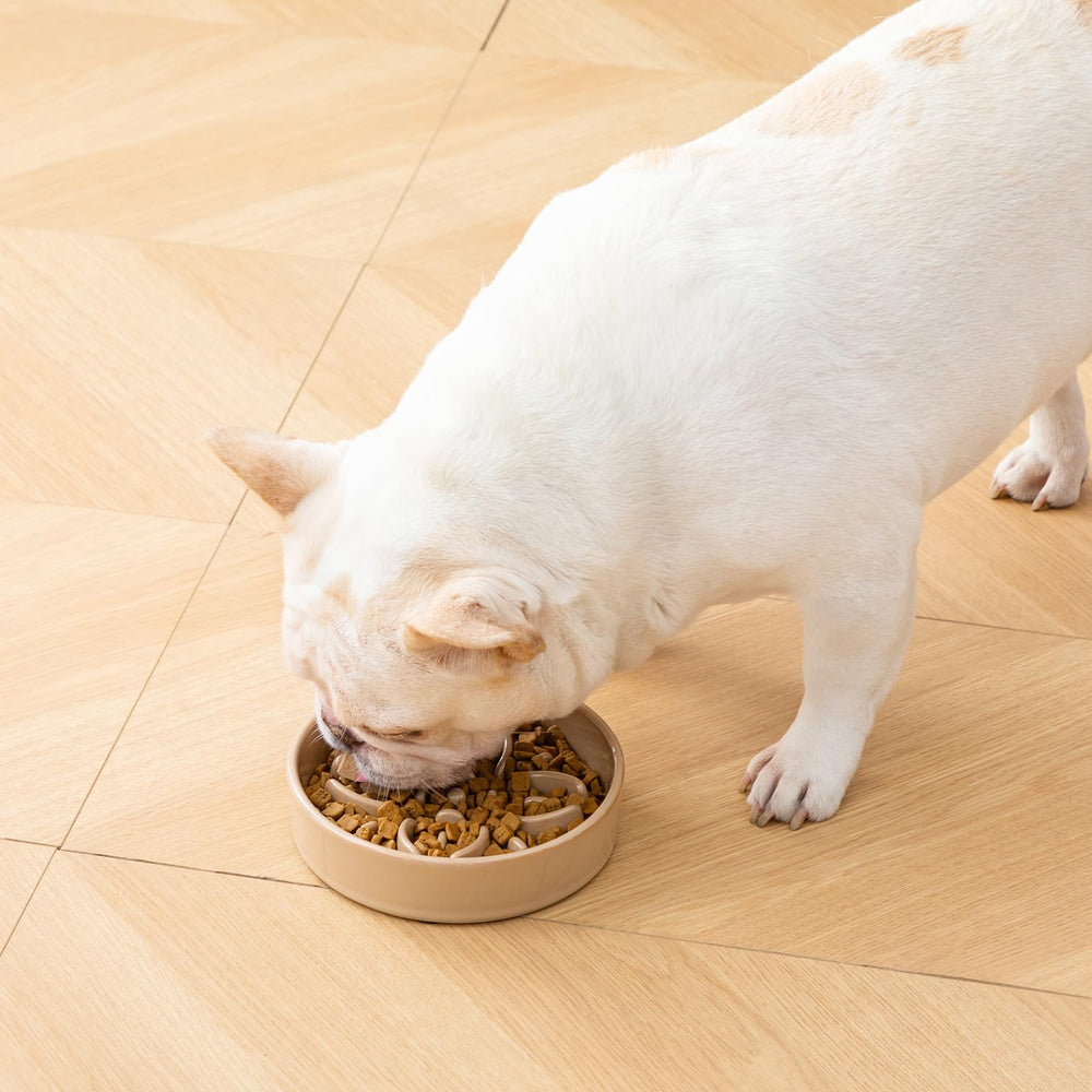 Vancasso dishwasher-safe pet bowl for quick, hygienic cleaning.