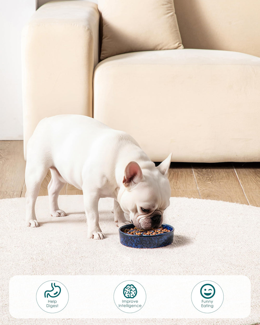 Mealtime enrichment with the Vancasso puzzle bowl for dogs.