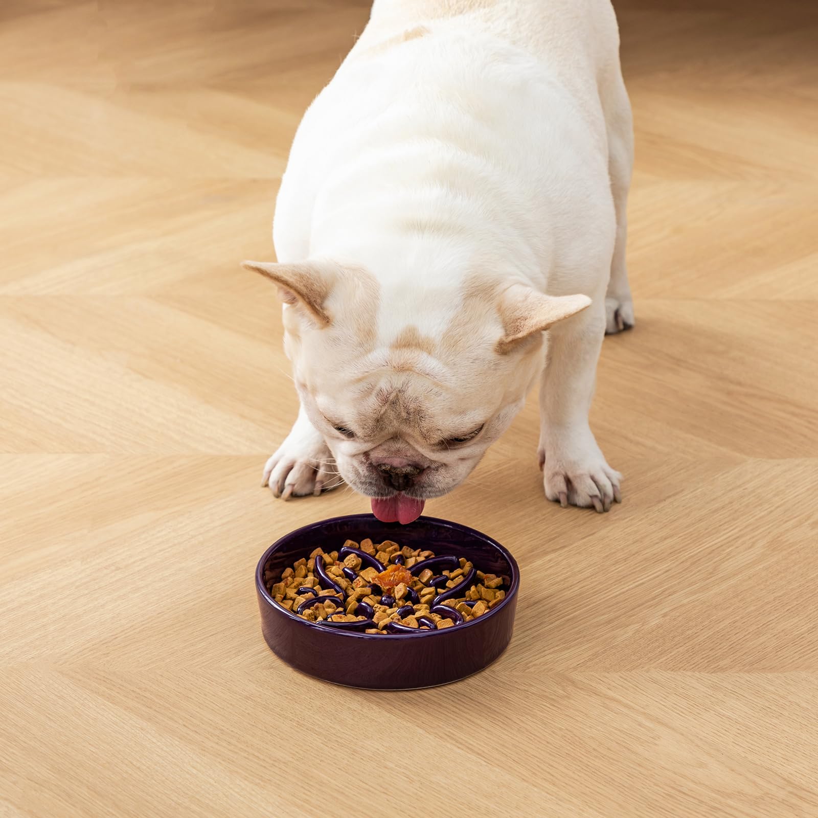Vancasso easy-clean glaze makes dishwasher-safe maintenance simple.