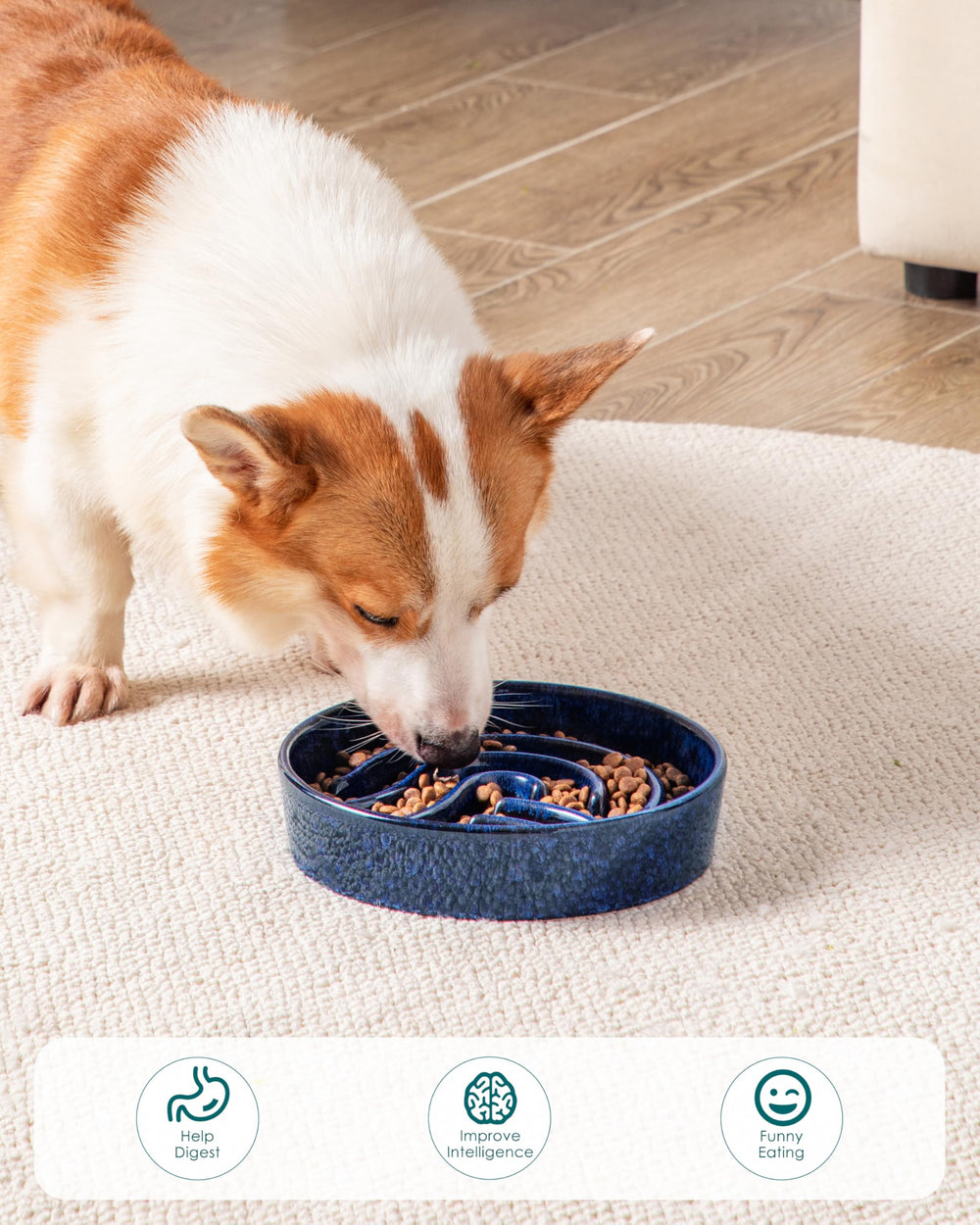 Vancasso easy-clean-dishwasher-safe-dog-bowl simplifies post-meal cleanup.