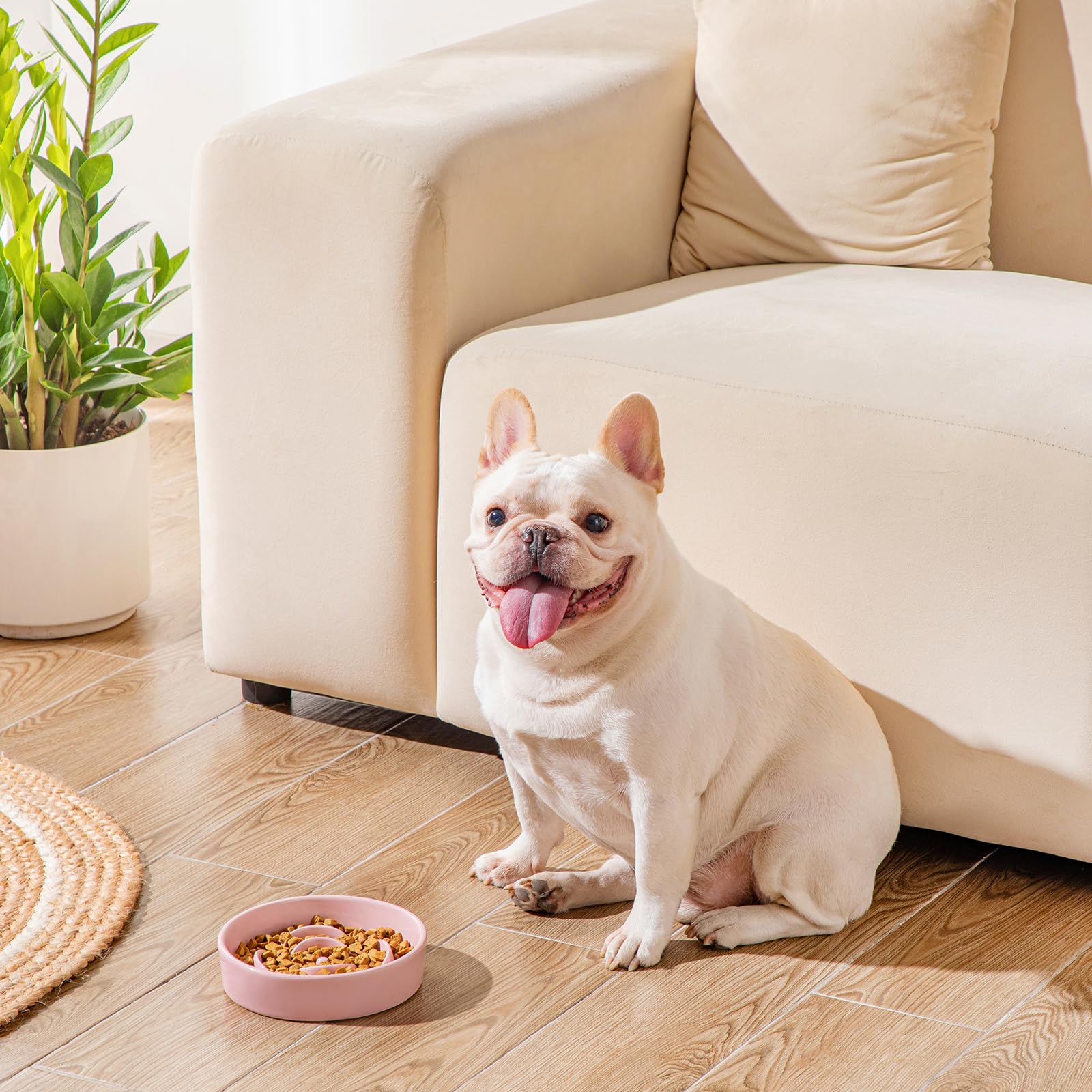 Vancasso easy-clean non-porous ceramic surface for odor-free meals