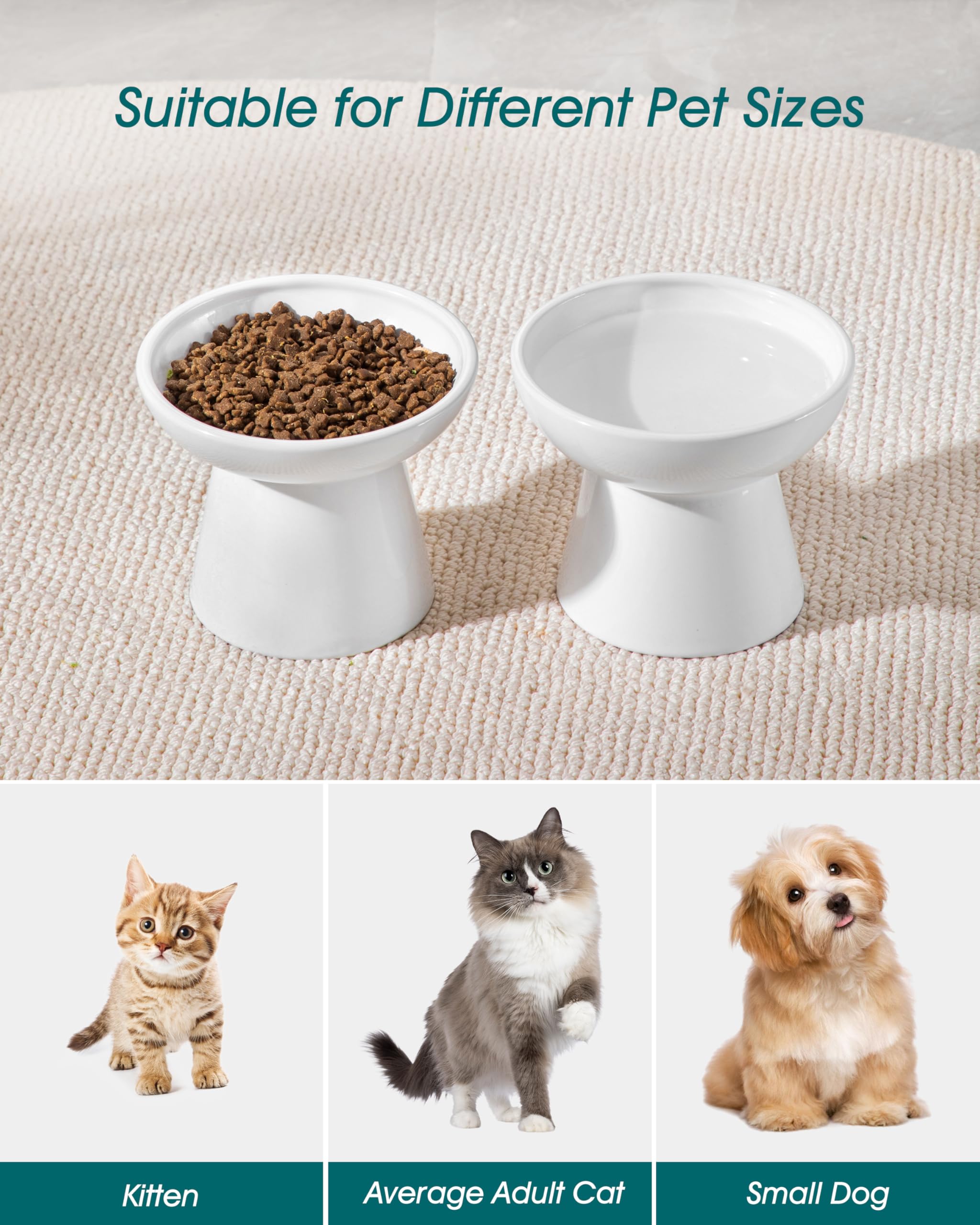 Vancasso ideal for cats and small dogs in homes or patios.