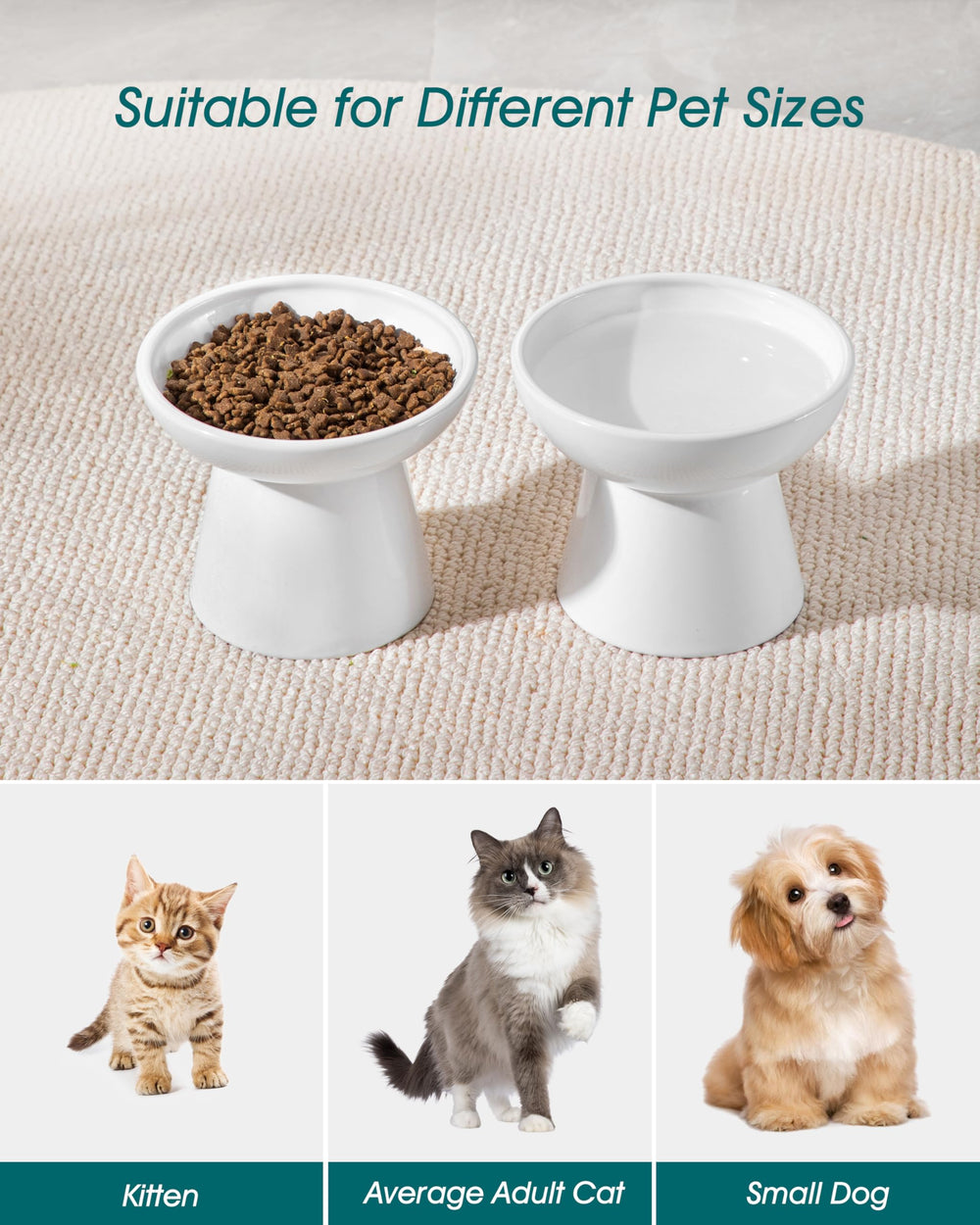Vancasso ideal for cats and small dogs in homes or patios.