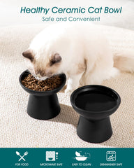 Vancasso elevated bowls with food and water, dual-dish convenience.