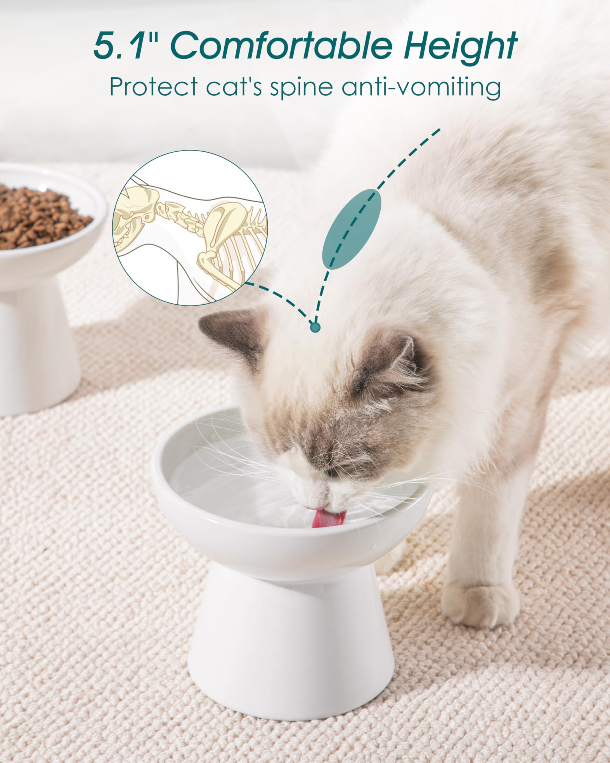 Vancasso whisker-friendly design promotes relaxed eating for cats.