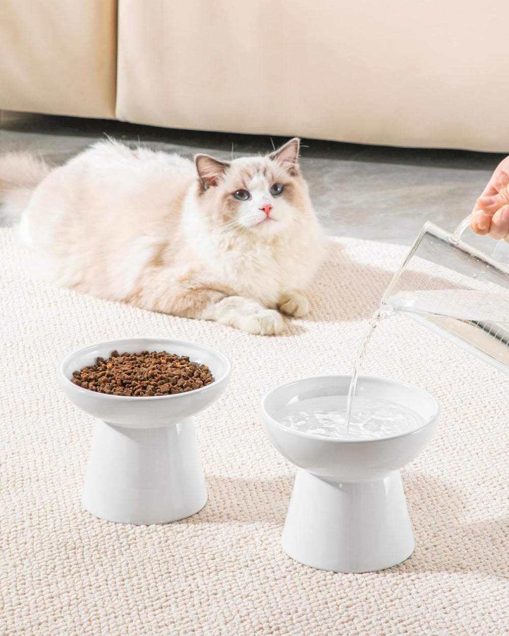Vancasso white finish complements any decor while supporting stable feeding.