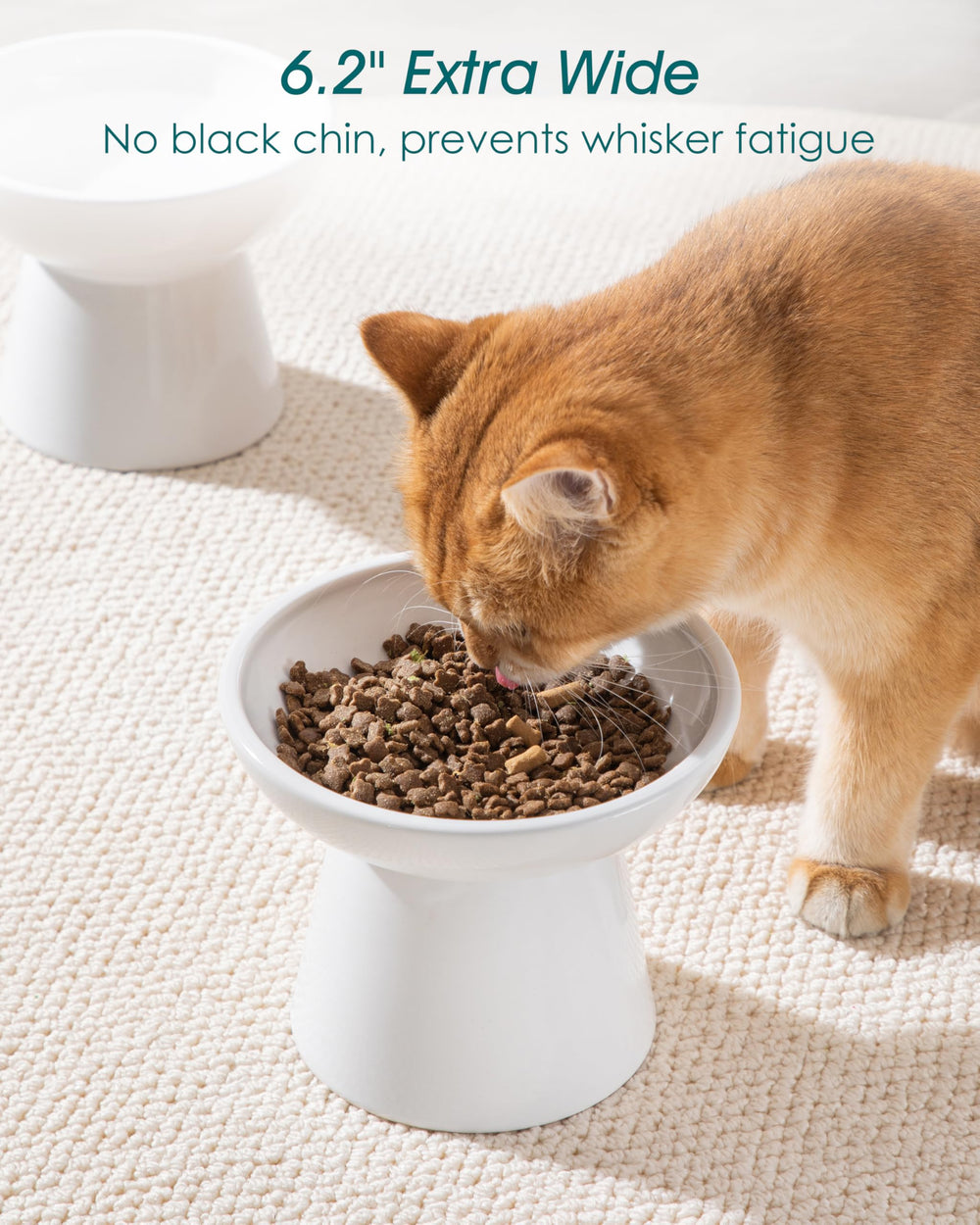 Vancasso wide opening reduces whisker contact for comfortable feeding.