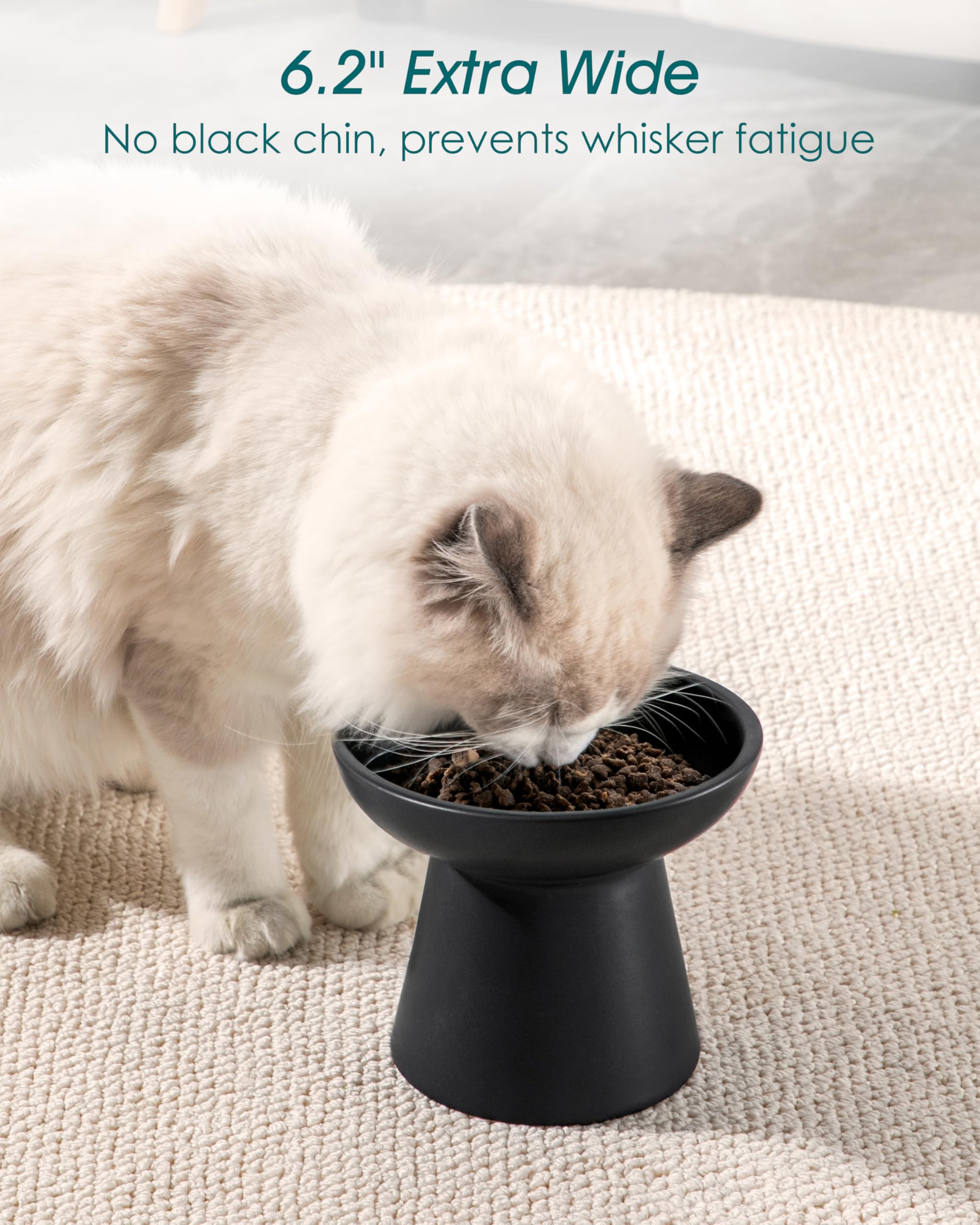 Vancasso five-point-one-inch height stand demonstrates elevated feeding.